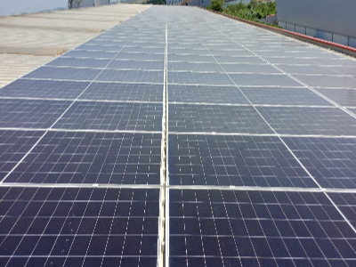 Projekti Albanian Herb Sh.p.k Projekti Albanian Herb Sh.p.k